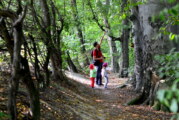 Leśną ścieżką przez „Buczynę”