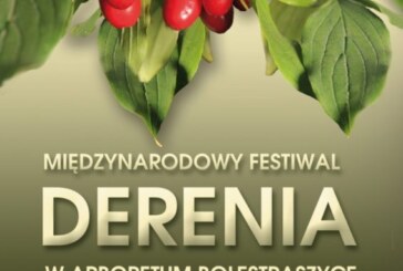 Międzynarodowy Festiwal Derenia, Bolestraszyce