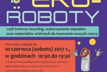 Warsztaty „Eco-roboty”, Rzeszów