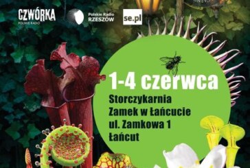 Festiwal Roślin Owadożernych, Łańcut