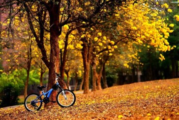 III Rajd leśny na powitanie jesieni – Mielec